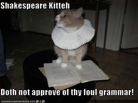 Shakespeare Cats Funny Cat Pictures Funny Cats