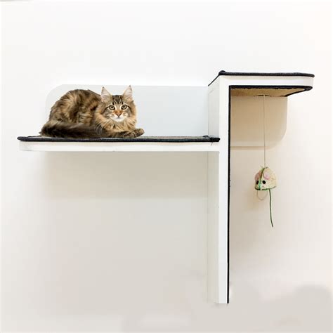 When adding cat shelves to your home, you have the option of making them yourself. Cat Climbing Wall Shelves | Best Cat Shelves for Sale in ...