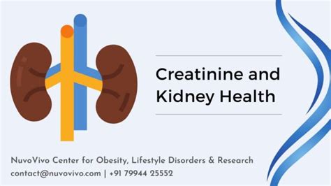 Creatinine And Kidney Health
