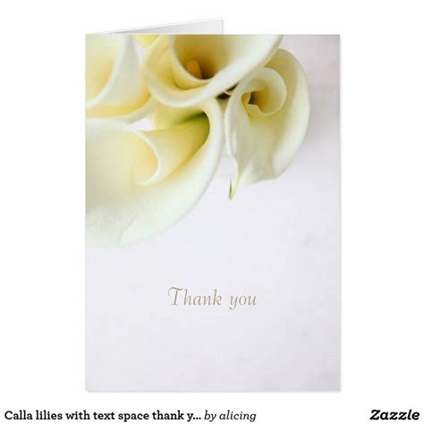 Calla Lilies With Text Space Thank You Calla Lily