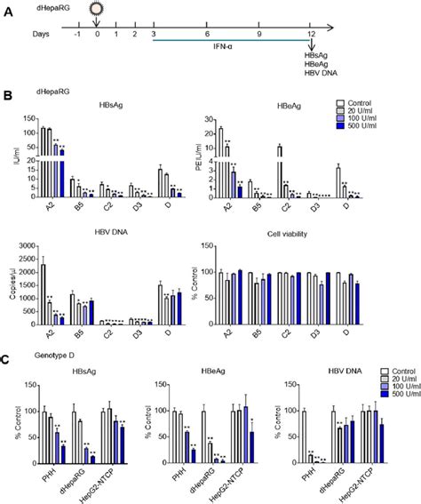 Anti HBV Activity Of IFN A In DHepaRG And HepG2 NTCP Cells DHepaRG