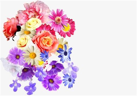 Bunte schmetterlingsmotive ausdrucken / bunte schm. 15+ Bunte Blumen Zum Ausdrucken in 2020 | Bunte blumen, Malvorlagen blumen, Blumen vorlage