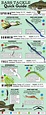 Bass Fishing Lure Quick Sheet - A Fast Reference to Popular Bass ...