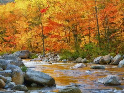 🔥 32 Autumn Scenes Wallpaper Landscapes Wallpapersafari