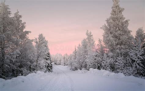 Winter Landscape In Lapland Finland Stock Image Image Of Outdoor