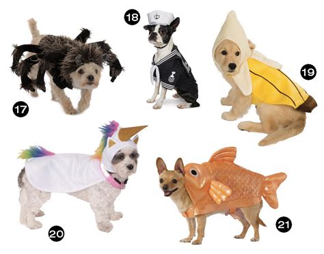 Halloween Hounds 26 Awesome Dog Costumes For 2015 Dog Milk