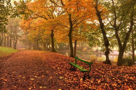 Sheet Autumn Landscape Coffee Nature Hd Wallpaper