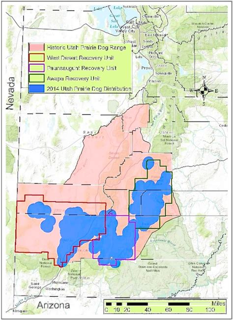 Prairie Dog Management Up For Review Officials Encouraged By Progress