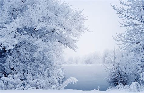 Snow Winter Landscape Free Photo On Pixabay