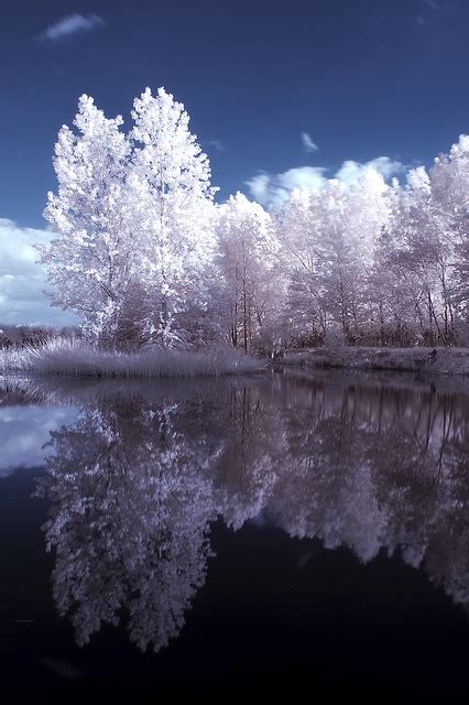 Reflection In Infrared Beautiful Winter Scenes Infrared Photography