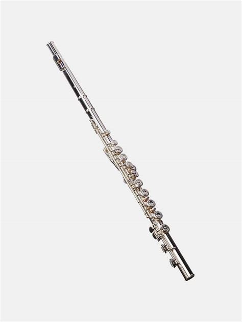 Flute Rental From The Comfort Of Your Home Rent My Instrument