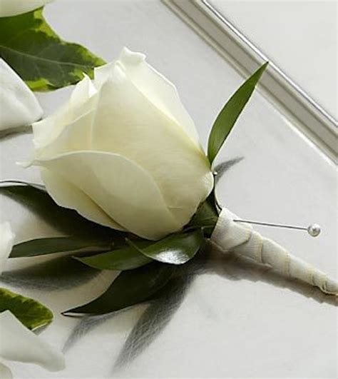 White Rose Boutonniere Veldkamps Flowers Denver Florist Fresh
