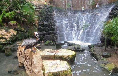 Our Top Tips For Visiting Xcaret Park Mexico World Travel Toucan