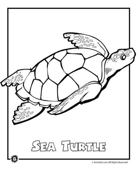 Sea Turtle Endangered Animal Coloring Page Woo Jr Kids Activities