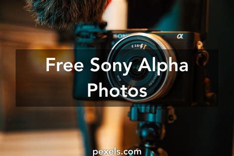 10 Amazing Sony Alpha Photos · Pexels · Free Stock Photos