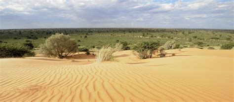 Overview Of The The Amazing Kalahari Desert Safari Sue