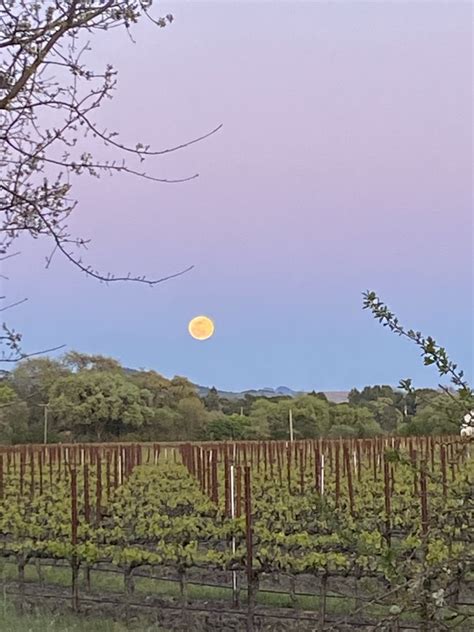 2020's second super moon is rising tuesday, and faherty has all the answers on why april's pink full moon is going to be the best and brightest of the year. April's 'pink moon' is the biggest supermoon of 2020 | KRON4