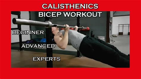 Calisthenics Bicep Workout Beginner Advanced And Expert Approved Workout 1 Youtube