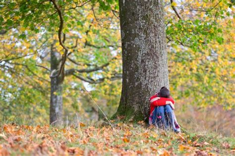 Girl 12 Denied Compensation For Sex Attack Because She Walked With Man To The Woods Metro News