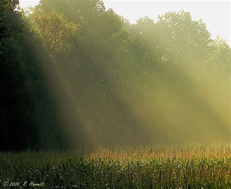 Morning Sunlight On The Mist Дождь Иллюстрации арт Эстетика