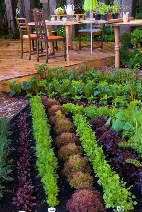 Here are some great examples of small veggie gardening plans. 45+ Interesting Vegetable Garden Ideas For Backyard - DECOREDO