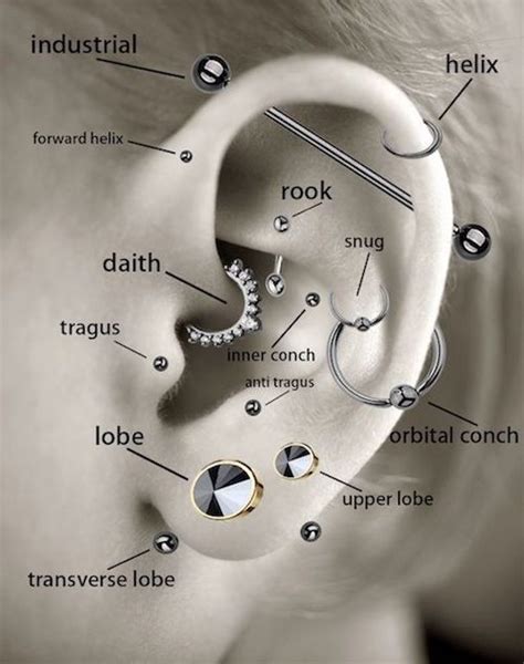 Your Guide To The Ear Piercing Healing Time And After Care Zensa Skin Care