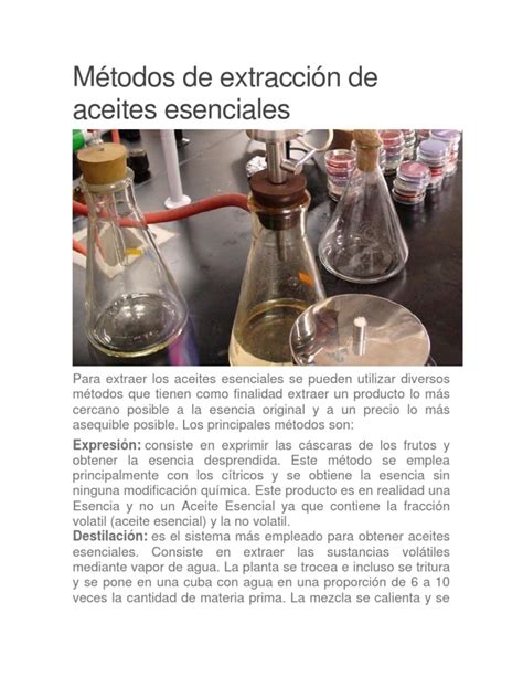 Métodos De Extracción De Aceites Esenciales Petróleo Aceite Esencial