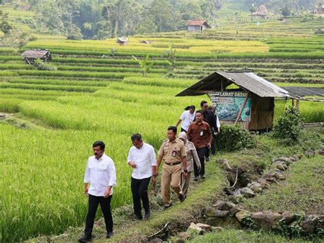 Jajaki Jalan Setapak Persawahan Di Desa Gunung Bunder Menteri ATR