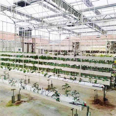 Xinhe Customized Nude Hydroponic Hydroponics System For Greenhouse