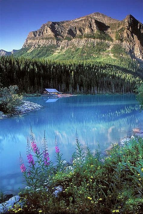 Turquoise Lake Louise Banff Canada Carpe Diem