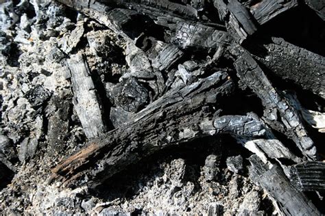 Maybe you would like to learn more about one of these? How Burning Wood Ash Can Be Of Huge Help ...