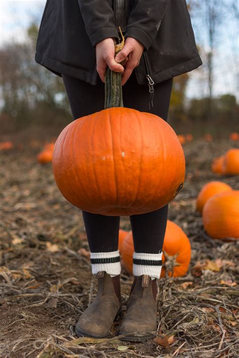 3 Halloween Traditions From Around The World Blog Scouts