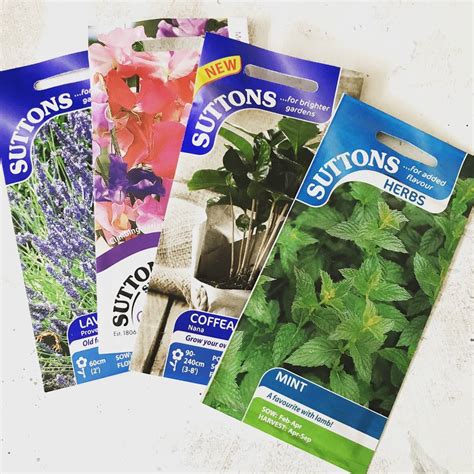 Free shipping on orders over $25 shipped by amazon. Sunshine Personalised Teacher Plant Pot With Seeds By So ...