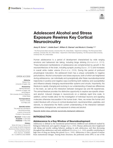 Pdf Adolescent Alcohol And Stress Exposure Rewires Key Cortical