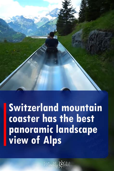 Switzerland Mountain Coaster Has The Best Panoramic Landscape View Of