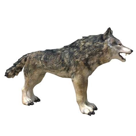 Lowpoly Fantasy Wolf 3d Asset Cgtrader