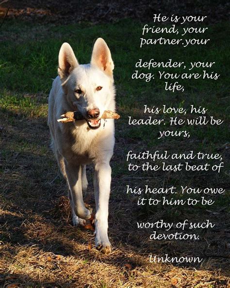 A Dog Poem Steves Digicams Forums Dog Poems Dogs Dog Quotes