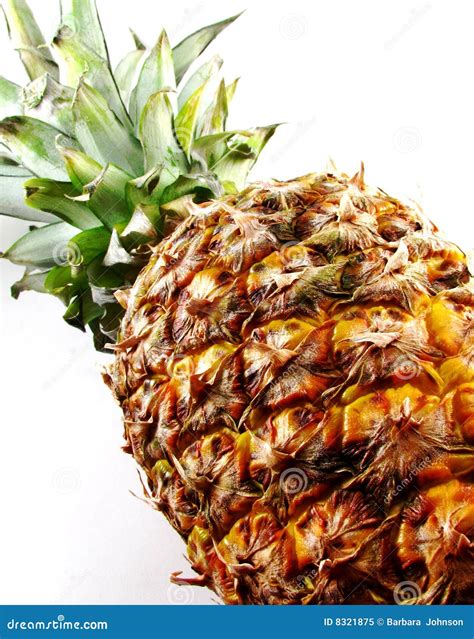 Whole Pineapple Stock Image Image Of Pineapple Nutritious 8321875
