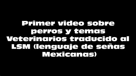 Lsm Primer Video En México Sobre Perros Veterinarios Acupuntura