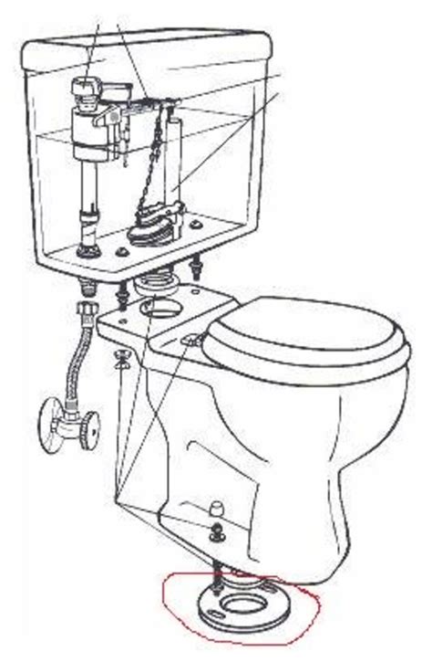 Trade Secrets For A Professional Toilet Installation Dengarden