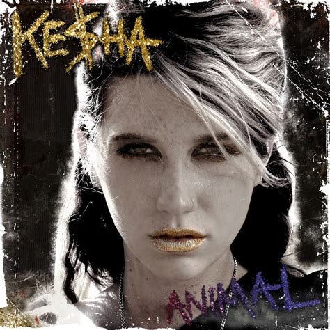 Kesha Tik Tok Lyrics Meaning
