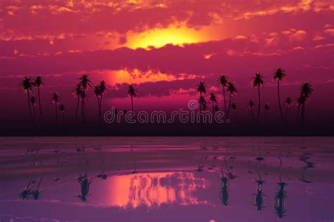 Tropical Sunset With Pink Clouds Stock Image Image Of Backgrounds
