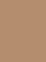 Best known as a color between brown and gray, taupe is a subtle hue of striking appeal. Light taupe / #b38b6d hex color