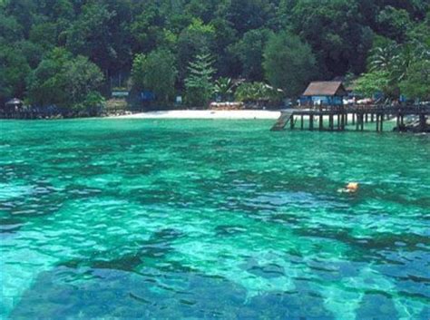 After booking, all of the property's details, including telephone and address, are provided in your booking confirmation and your account. BRF TRAVEL SDN. BHD.: PULAU PAYAR MARINE PARK (PAKEJ CORAL ...
