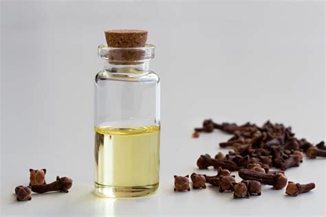 Clove Oil For Toothache Pain Oral Care