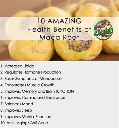 maca root 10 top health benefits wiki maca plant maca benefits maca