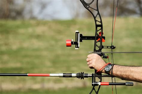 Best Bow Stabilizers For Hunting Buyers Guide And 6 Reviews