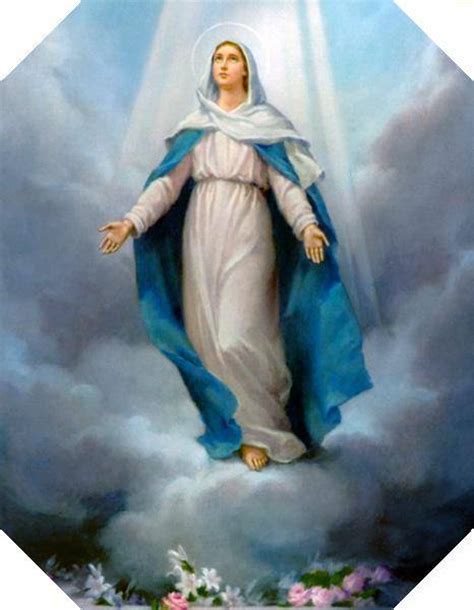 Our lady of la vang. image de la vierge marie (8)