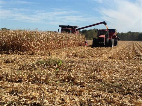Report Record Corn Soybean Crops Forecast In Kansas Agweb
