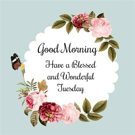 Good Morning Tuesday Wishes Happy Tuesday Quotes Good Morning Cards